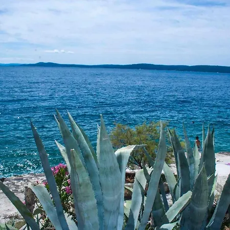 Lägenhet In Okrug Gornji 6139